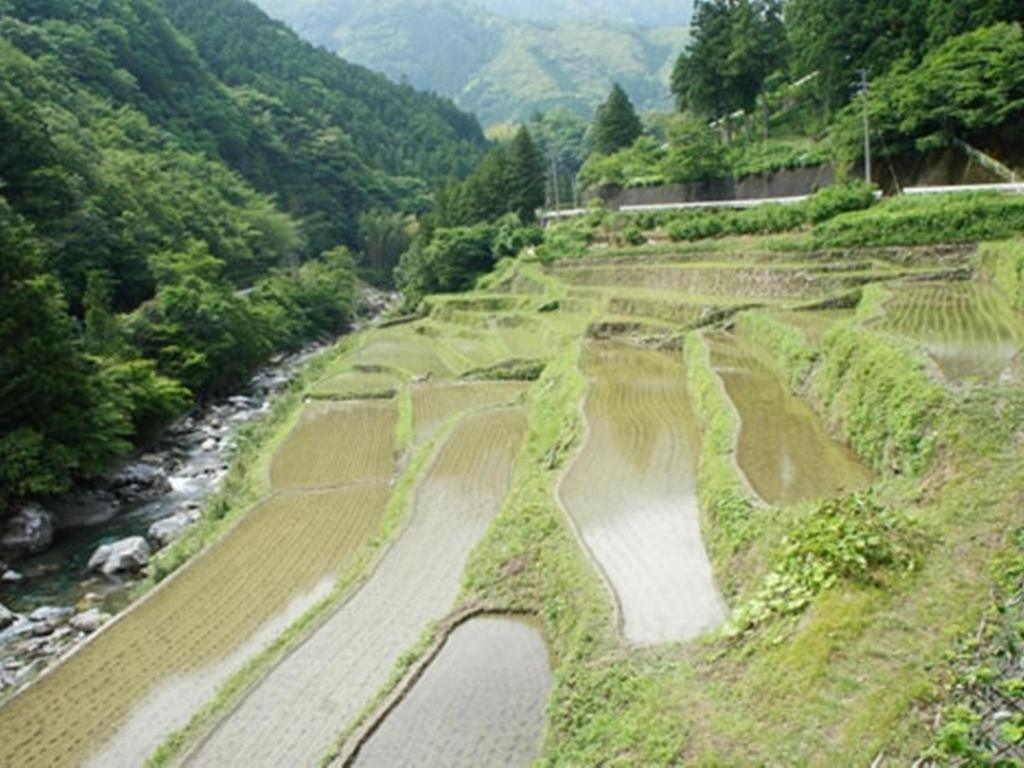 Auberge Tosayama Kochi  Bagian luar foto